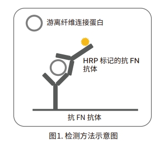 檢測方法示意圖