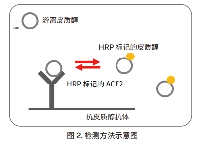 檢測方法示意圖