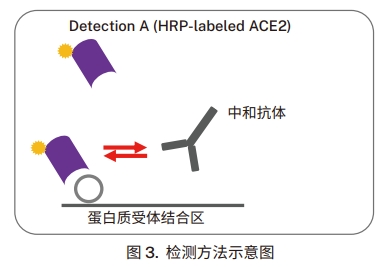 檢測方法示意圖