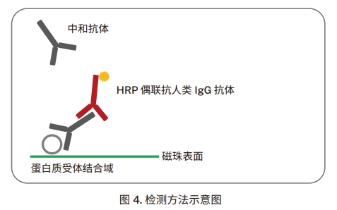 檢測方法示意圖