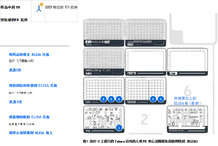 在OT-2 上進行的 Takara 公司的人類 FN 夾心法酶聯(lián)免疫吸附檢測