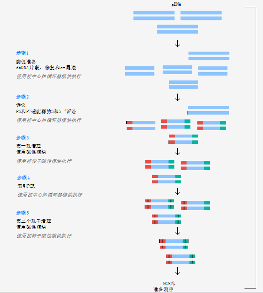 序列準(zhǔn)備全自動(dòng)微生物和人類DNA模板的文庫(kù)制備