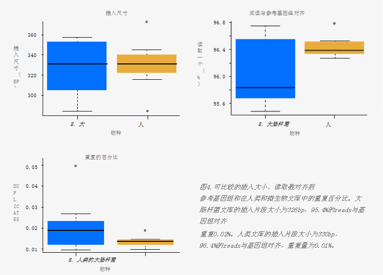 可比較的插入大小