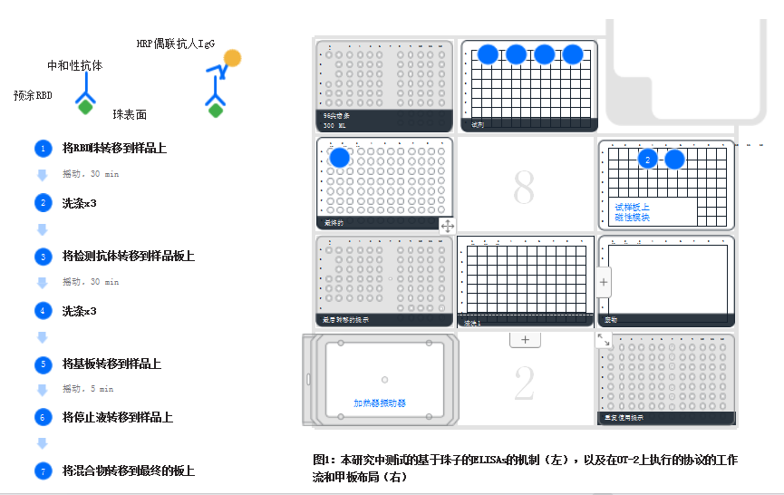 利用甲板上的加熱器搖震模塊實(shí)現(xiàn)SARS-CoV-2的中和抗體的自動(dòng)化