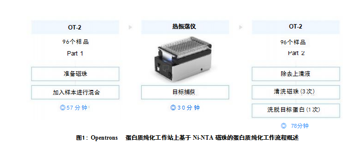 蛋白質(zhì)純化工作站上基于 Ni-NTA 磁珠的蛋白質(zhì)純化工作流程概述