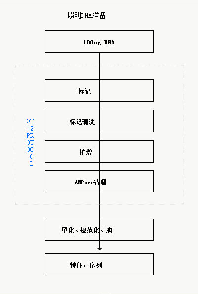 Illumina DNA準(zhǔn)備工作流程